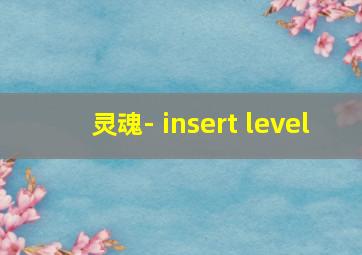 灵魂- insert level